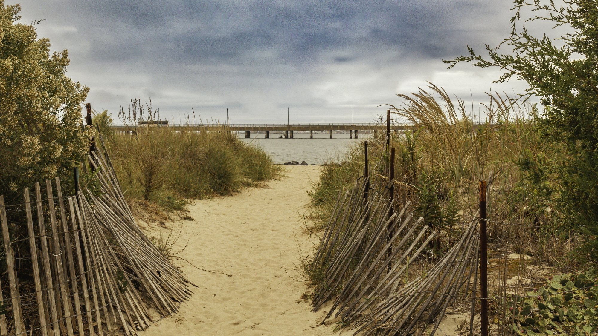 A sand path between dune fences in Ocean City, Maryland